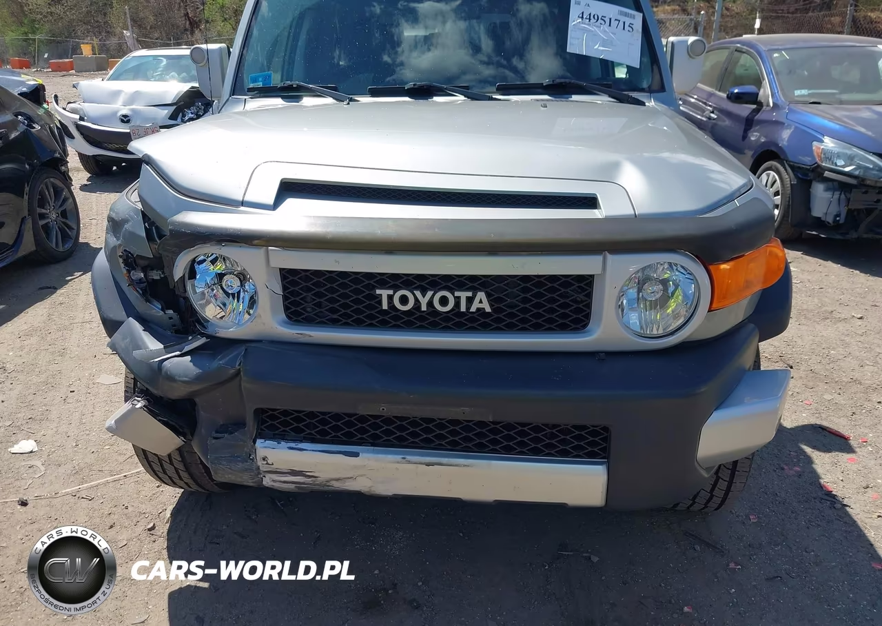 2011 Toyota Fj Cruiser VIN:JTEBU4BFXBK107520 - 12