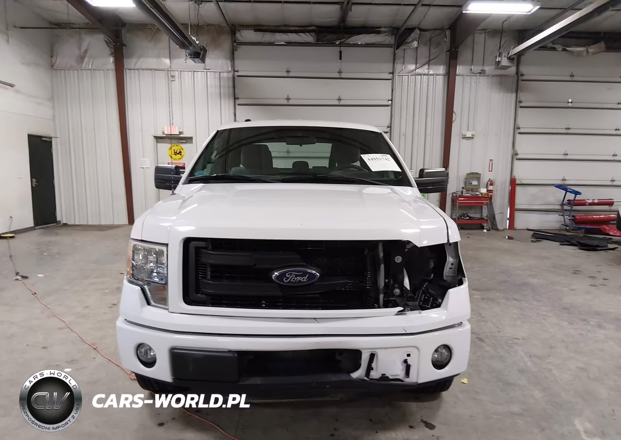 2013 Ford F-150 Stx VIN:1FTFX1CF1DFC63550 - 12