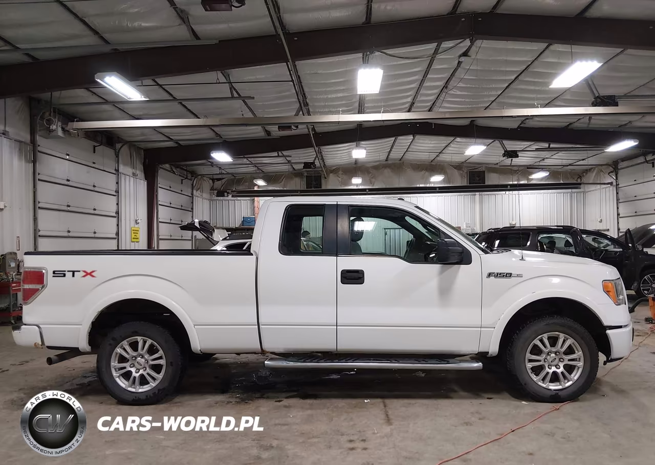 2013 Ford F-150 Stx VIN:1FTFX1CF1DFC63550 - 13