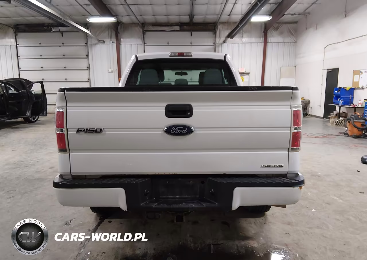 2013 Ford F-150 Stx VIN:1FTFX1CF1DFC63550 - 16