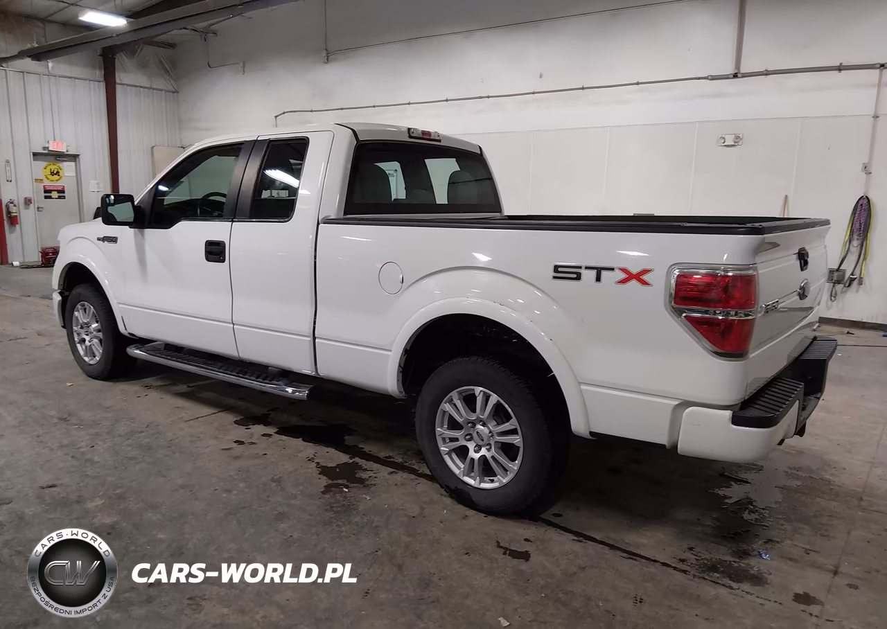 2013 Ford F-150 Stx VIN:1FTFX1CF1DFC63550 - 3