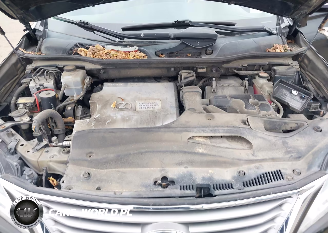 2015 Lexus Rx 450H VIN:2T2BC1BA4FC002713 - 10
