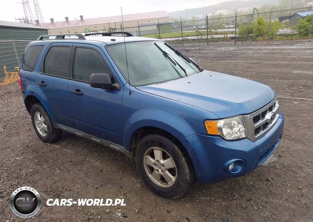2010 Ford Escape Xlt