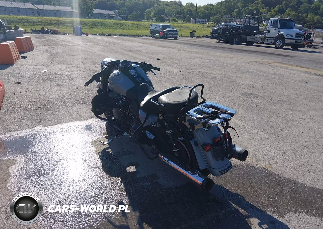 2024 Harley-Davidson Flhrxs VIN:1HD1KVP15RB607344 - 3