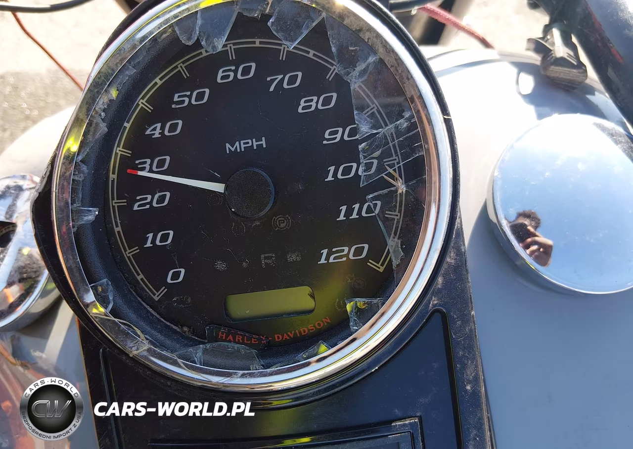 2024 Harley-Davidson Flhrxs VIN:1HD1KVP15RB607344 - 7