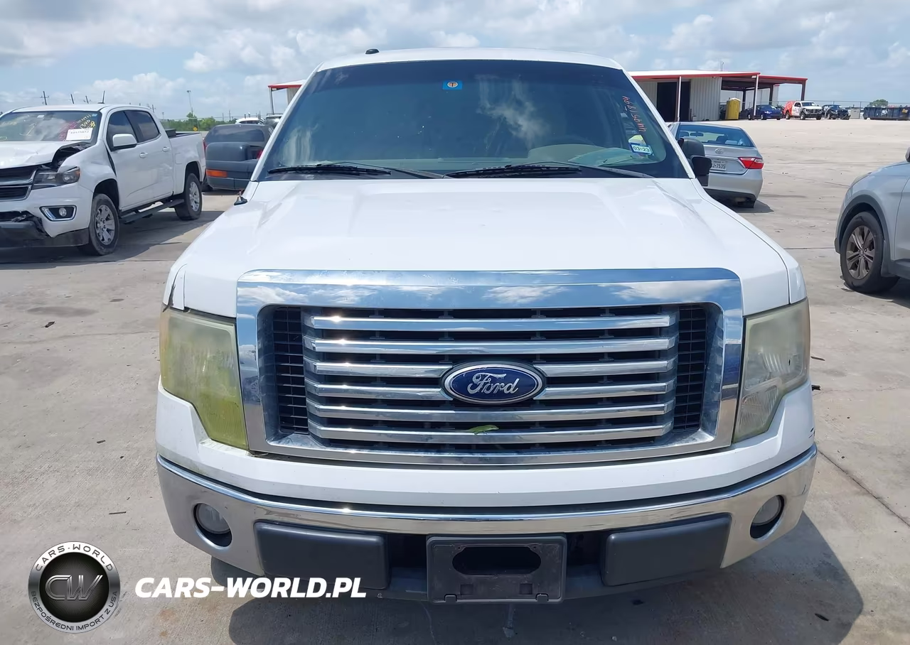 2010 Ford F-150 Fx2 Sport-Harley-Davidson-King Ranch-Lariat-Platinum-Xl-Xlt VIN:1FTFW1CVXAFB00207 - 12