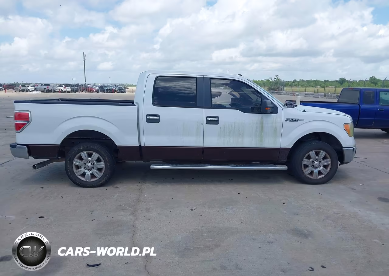 2010 Ford F-150 Fx2 Sport-Harley-Davidson-King Ranch-Lariat-Platinum-Xl-Xlt VIN:1FTFW1CVXAFB00207 - 13