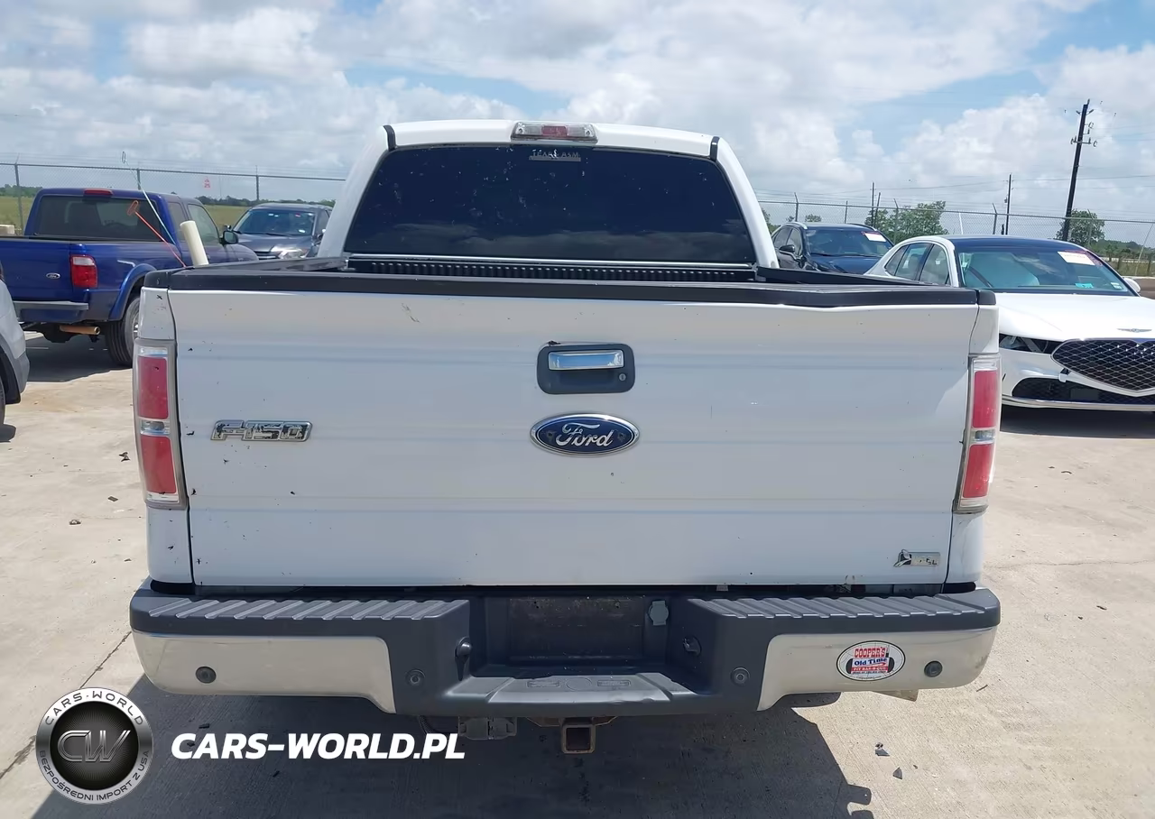 2010 Ford F-150 Fx2 Sport-Harley-Davidson-King Ranch-Lariat-Platinum-Xl-Xlt VIN:1FTFW1CVXAFB00207 - 16
