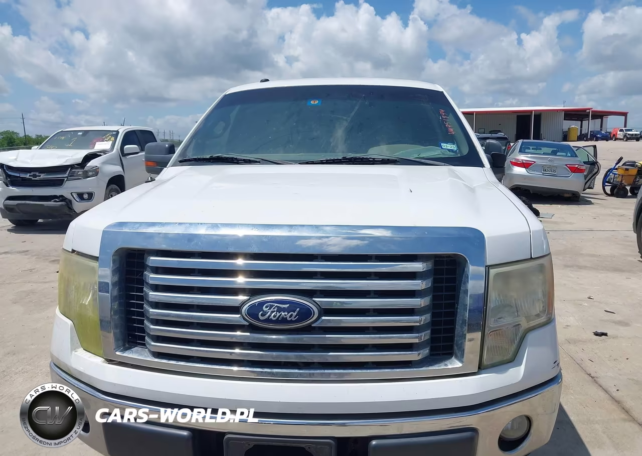2010 Ford F-150 Fx2 Sport-Harley-Davidson-King Ranch-Lariat-Platinum-Xl-Xlt VIN:1FTFW1CVXAFB00207 - 6
