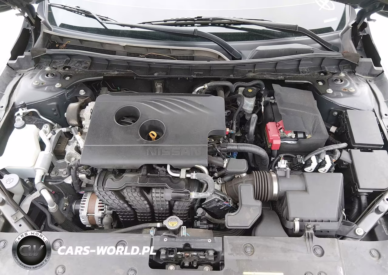 2019 Nissan Altima 2.5 Platinum VIN:1N4BL4FW3KC141977 - 10