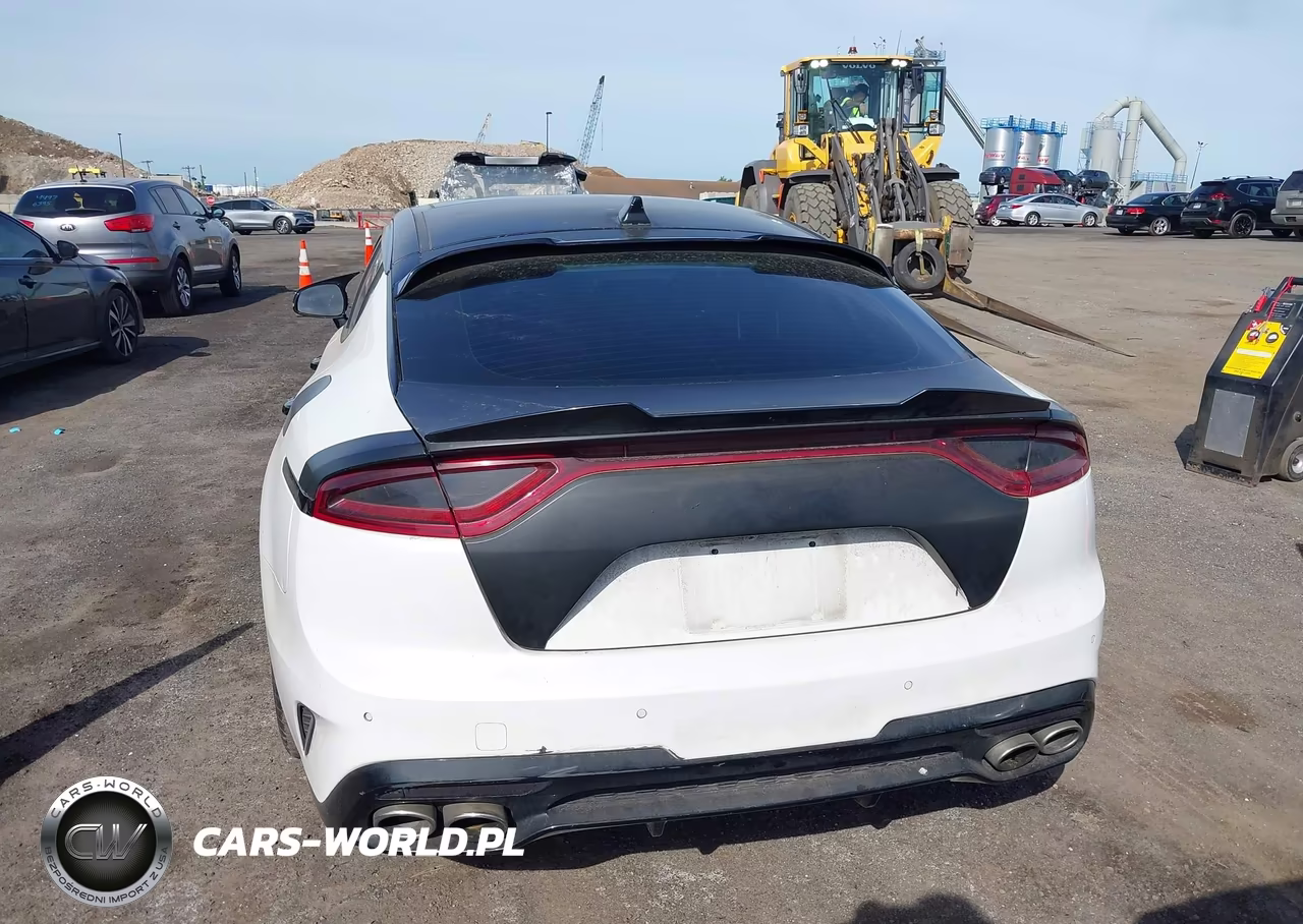 2020 Kia Stinger Gt-Line VIN:KNAE15LA3L6073771 - 16