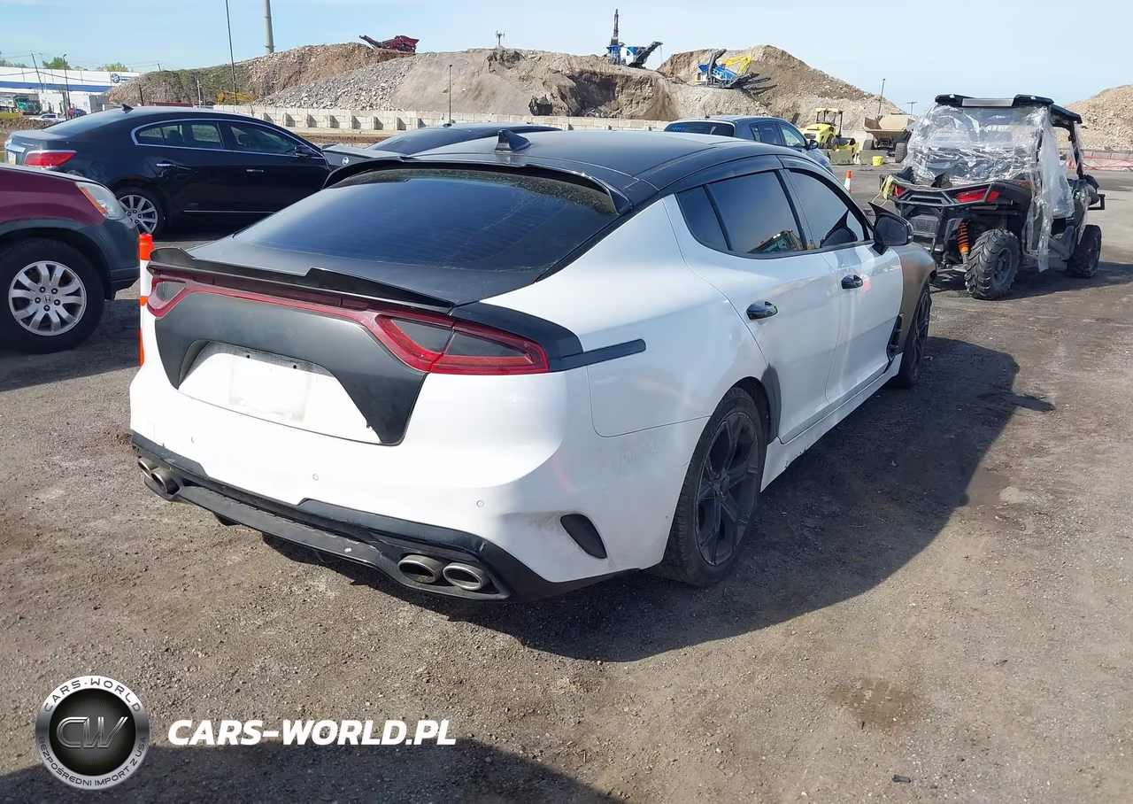 2020 Kia Stinger Gt-Line VIN:KNAE15LA3L6073771 - 4