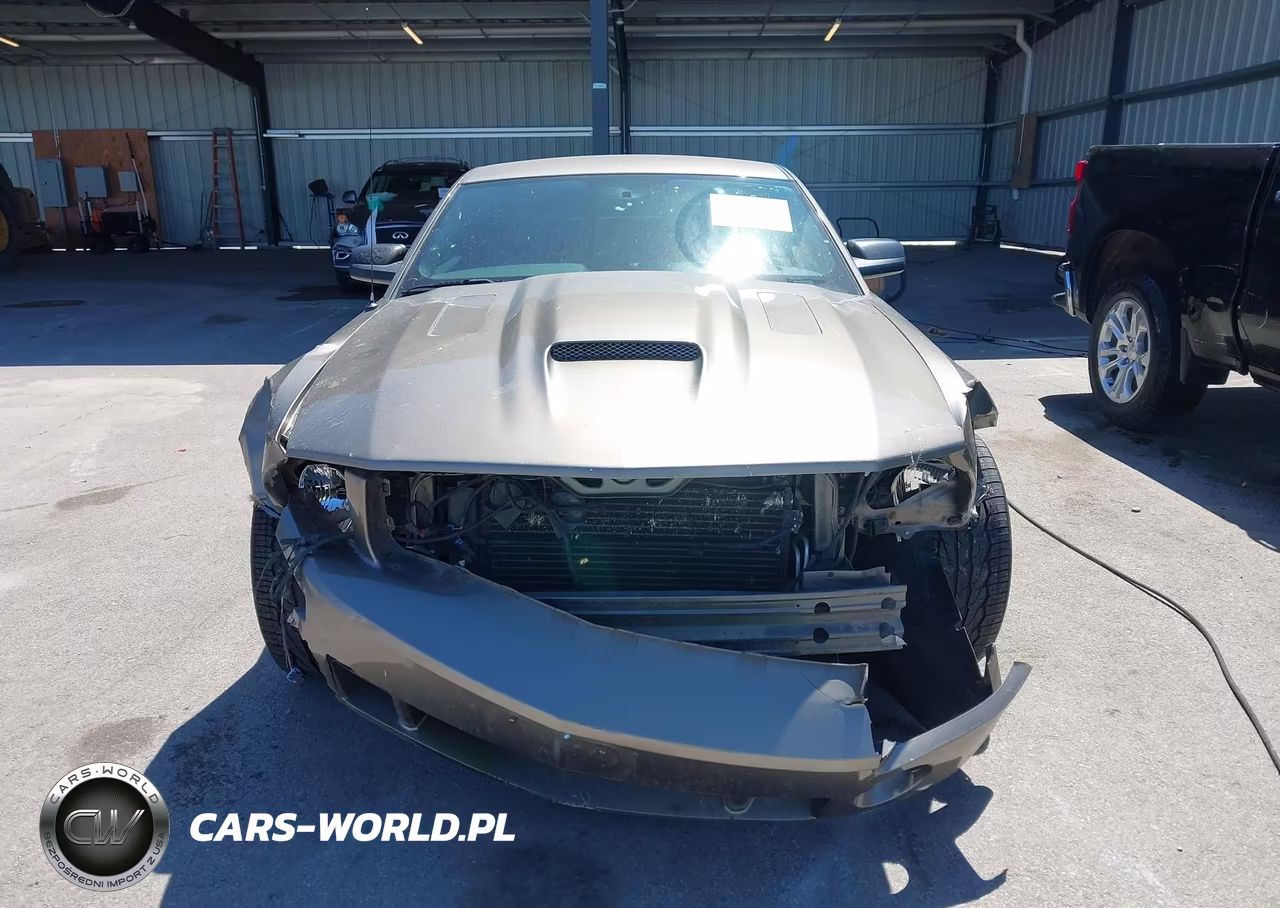 2005 Ford Mustang Gt Deluxe-Gt Premium VIN:1ZVFT82H755247977 - 12