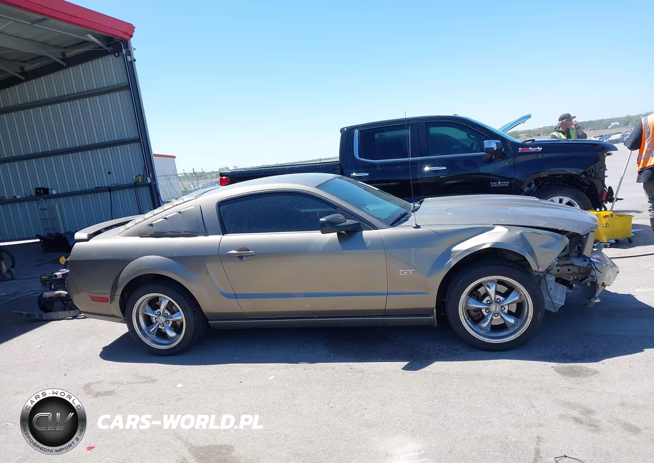 2005 Ford Mustang Gt Deluxe-Gt Premium VIN:1ZVFT82H755247977 - 13