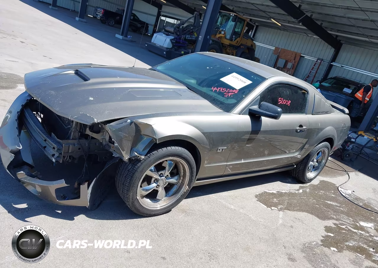 2005 Ford Mustang Gt Deluxe-Gt Premium VIN:1ZVFT82H755247977 - 14