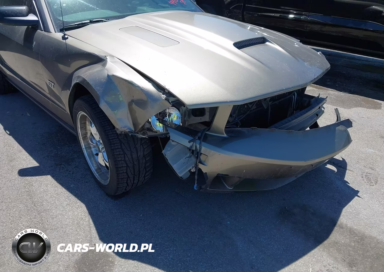 2005 Ford Mustang Gt Deluxe-Gt Premium VIN:1ZVFT82H755247977 - 17
