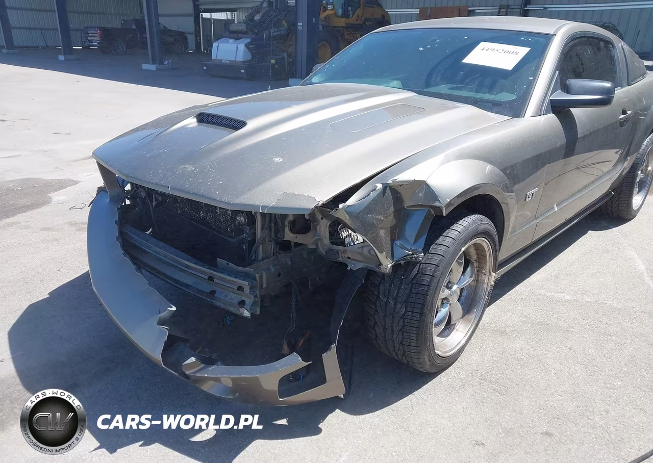 2005 Ford Mustang Gt Deluxe-Gt Premium VIN:1ZVFT82H755247977 - 6