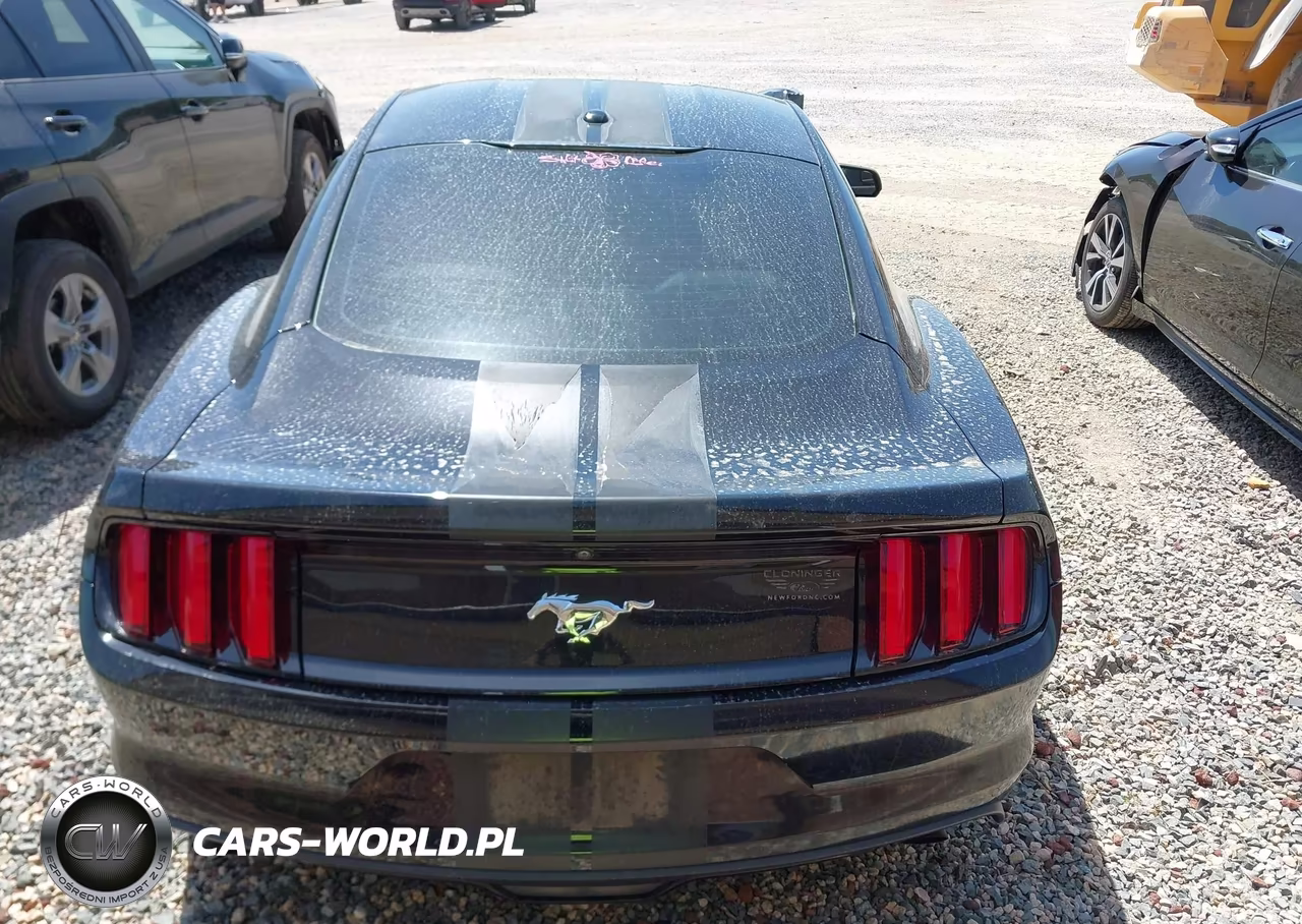 2017 Ford Mustang Ecoboost VIN:1FA6P8TH1H5322611 - 16