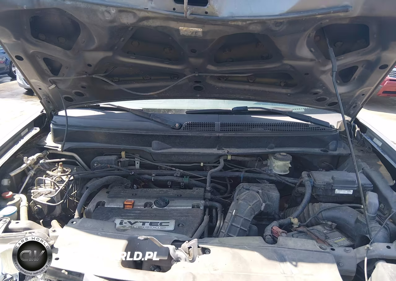 2010 Honda Element Lx VIN:5J6YH1H39AL005143 - 10