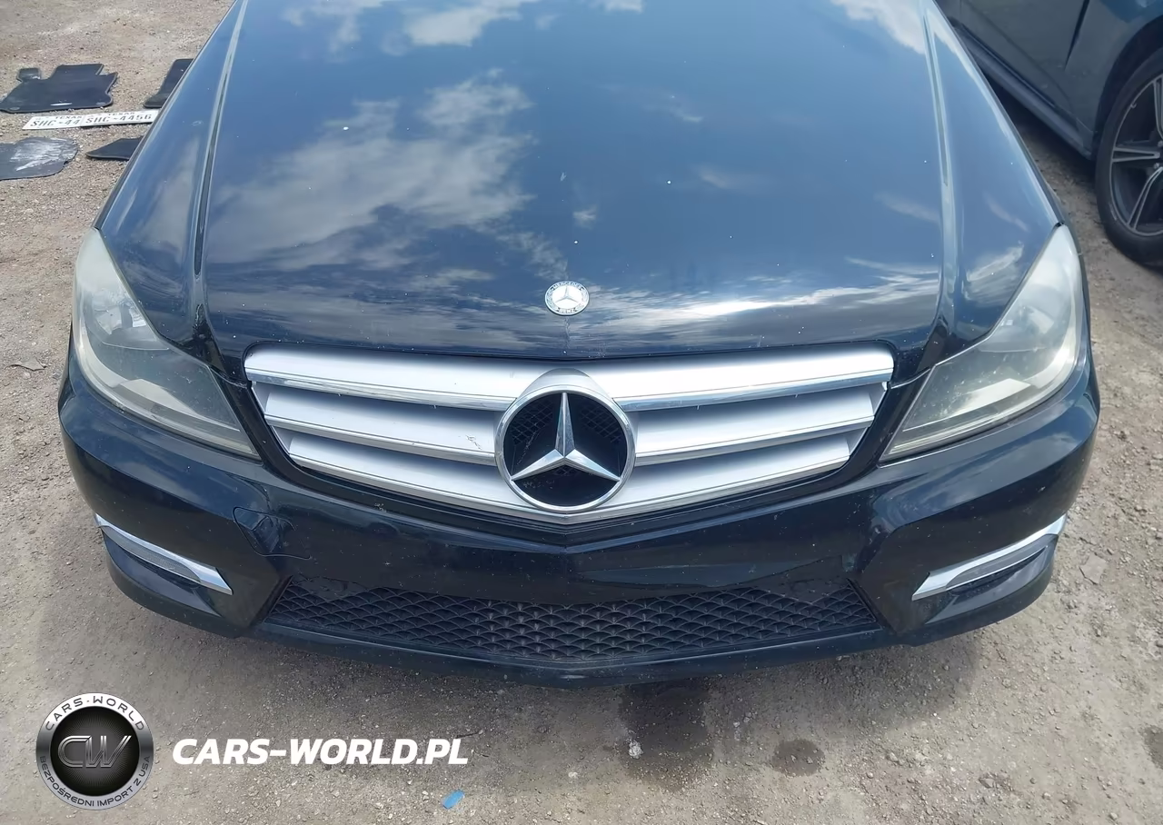 2013 Mercedes-Benz C 300 Sport 4Matic VIN:WDDGF8AB9DA859735 - 12