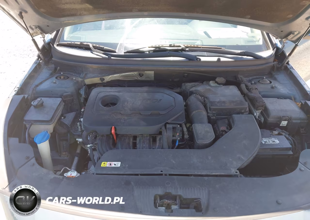 2016 Hyundai Sonata Se VIN:5NPE24AF9GH387039 - 10