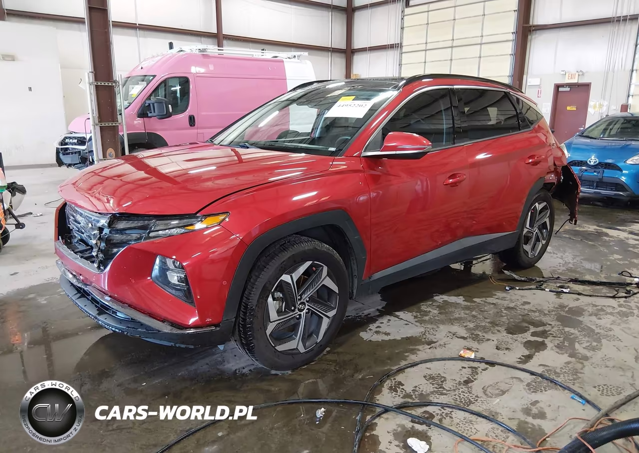 2023 Hyundai Tucson Limited VIN:5NMJECAE3PH164001 - 2