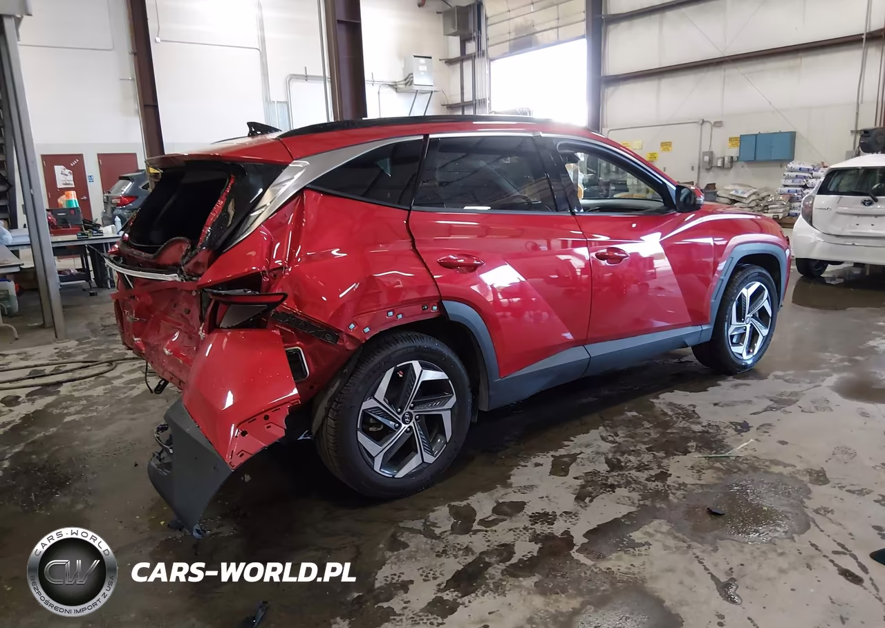 2023 Hyundai Tucson Limited VIN:5NMJECAE3PH164001 - 4