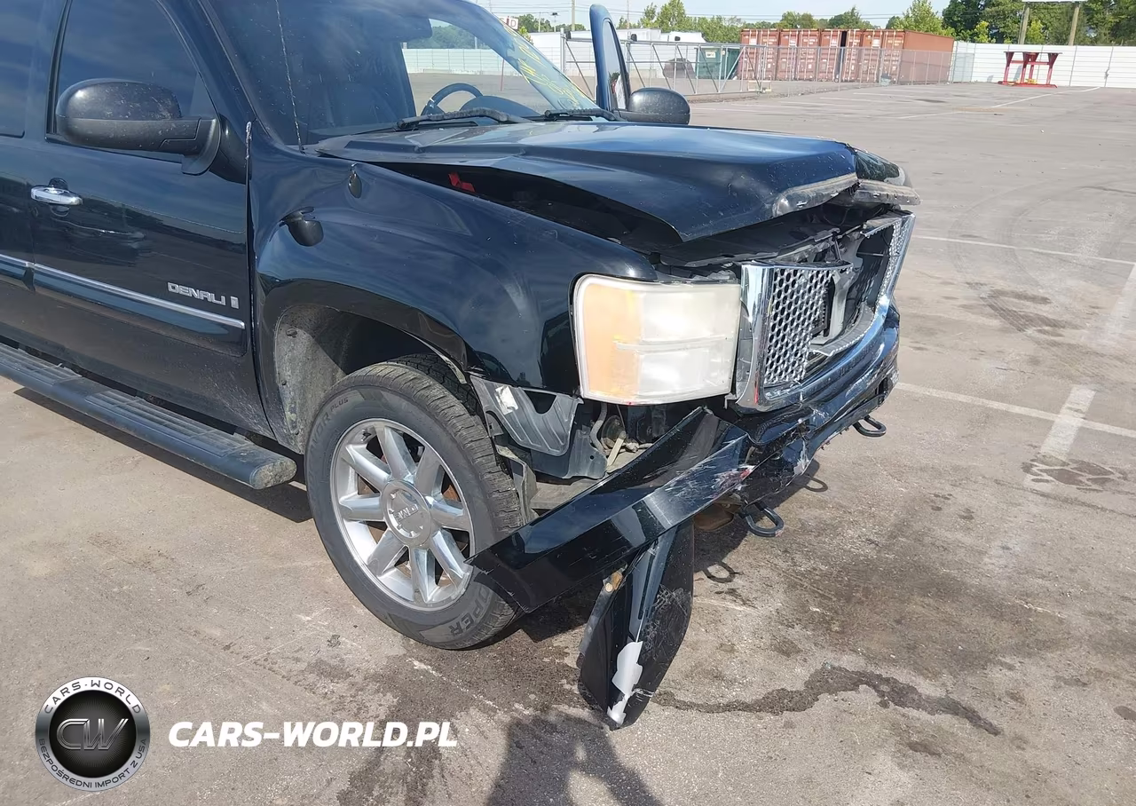 2009 GMC Sierra 1500 Denali VIN:3GTEK03269G221902 - 17