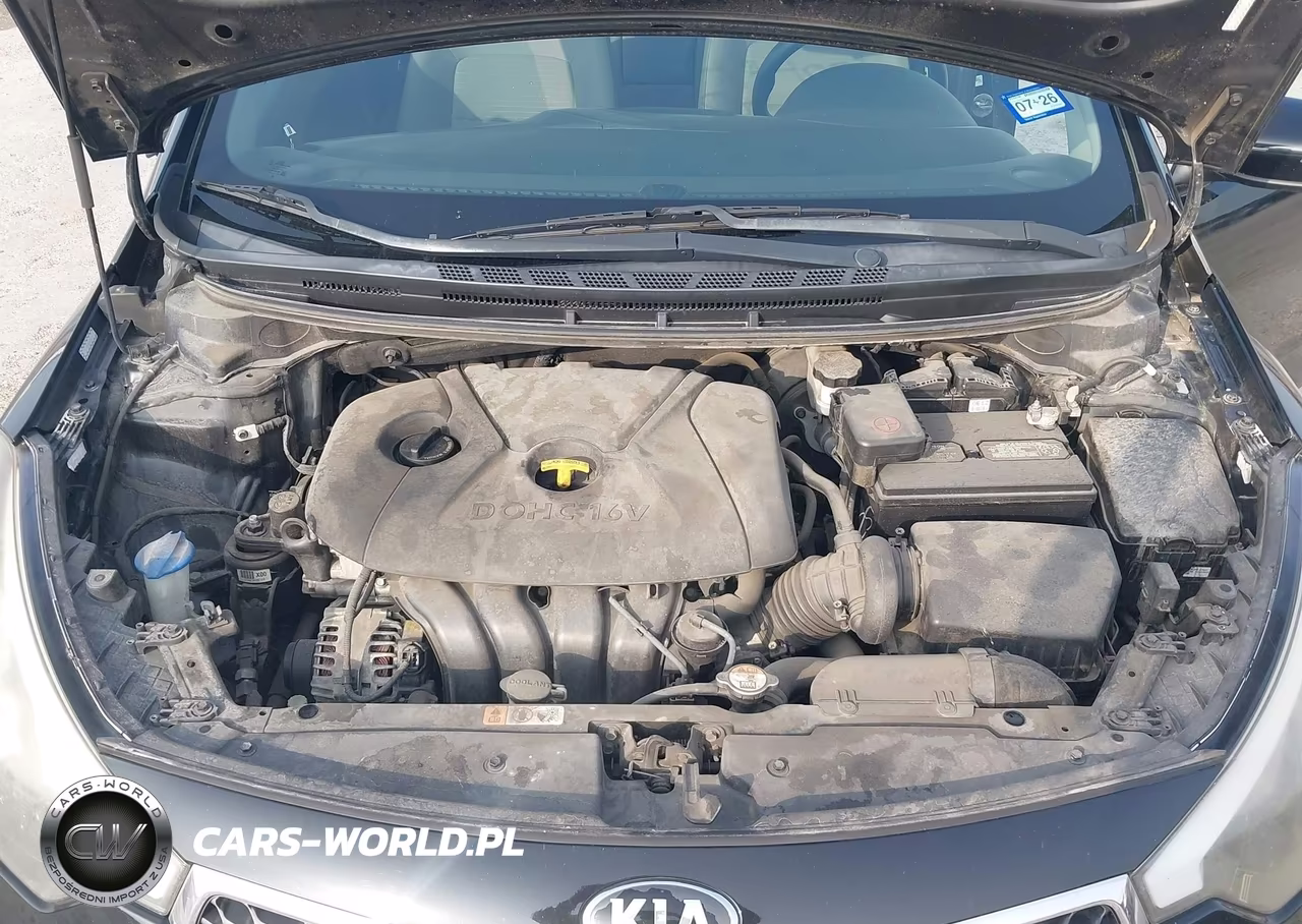 2015 Kia Forte Lx VIN:KNAFX4A64F5405691 - 10