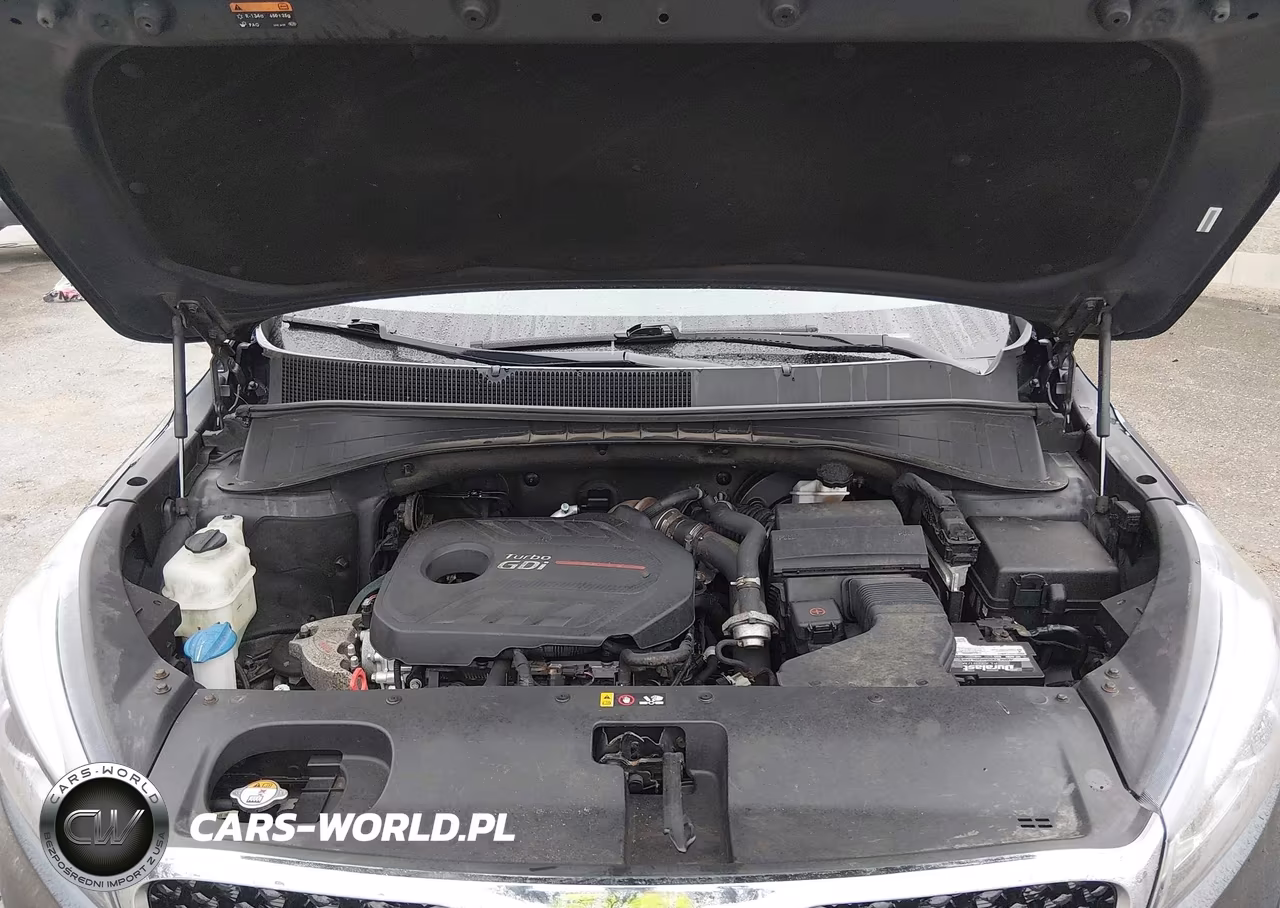 2016 Kia Sorento 2.0T Ex VIN:5XYPHDA15GG020545 - 10