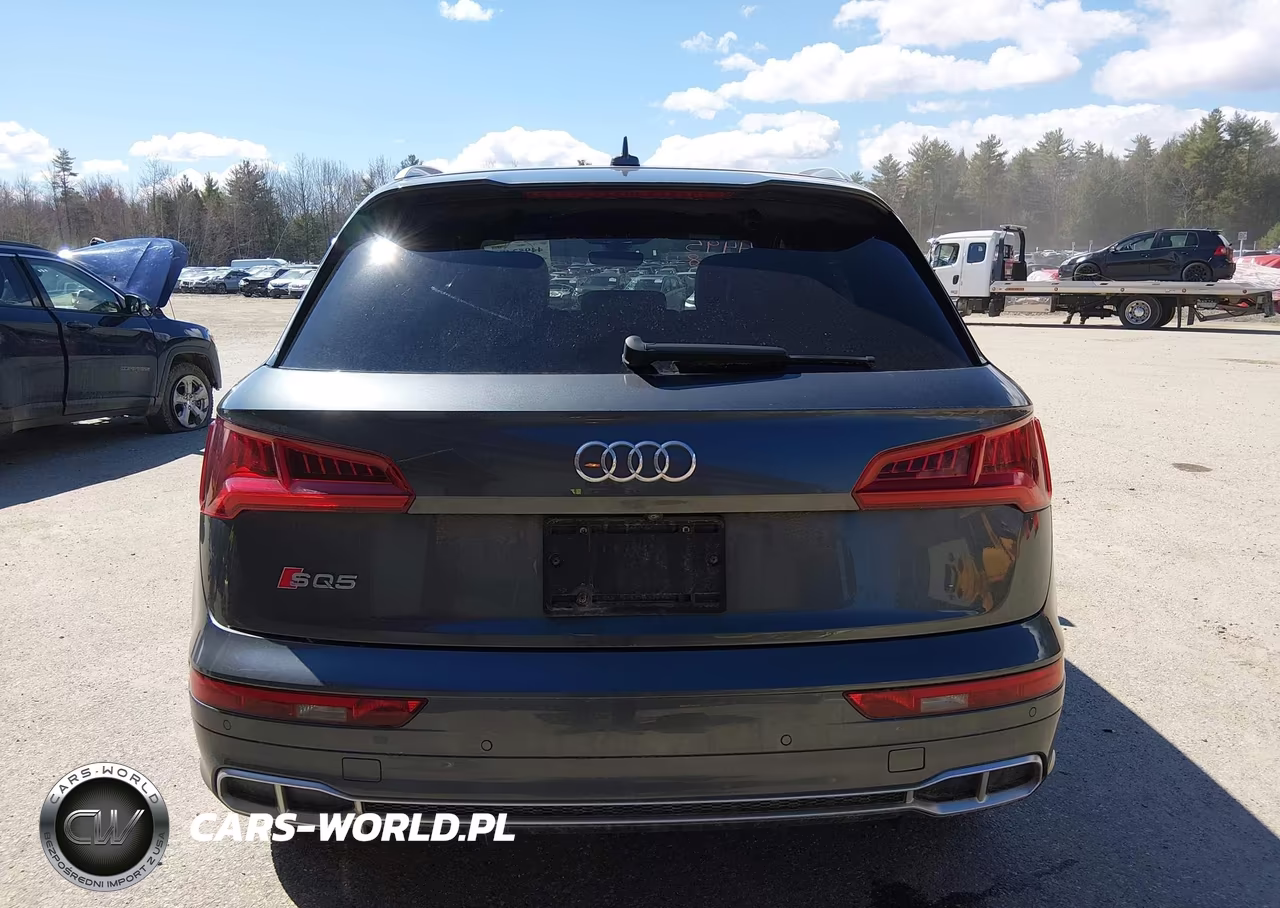 2018 Audi Sq5 3.0T Premium Plus VIN:WA1A4AFY0J2009843 - 17