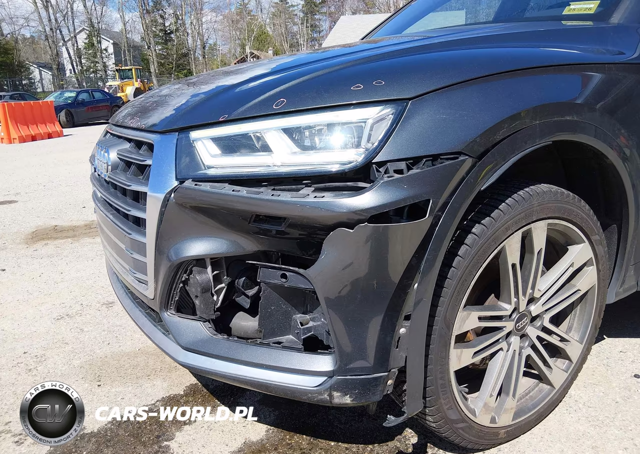 2018 Audi Sq5 3.0T Premium Plus VIN:WA1A4AFY0J2009843 - 6