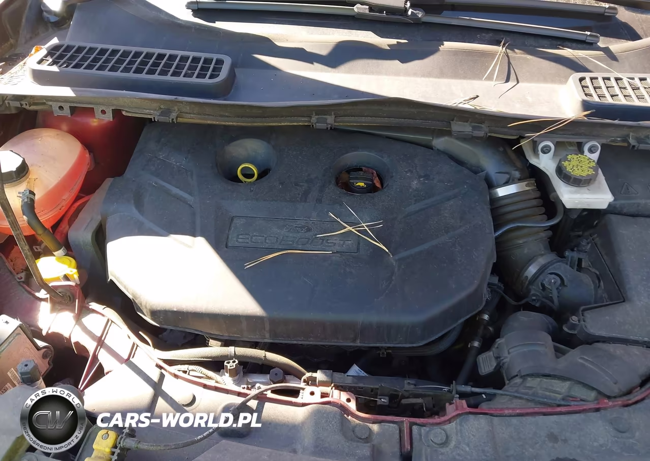 2019 Ford Escape Titanium VIN:1FMCU0J93KUB14922 - 9
