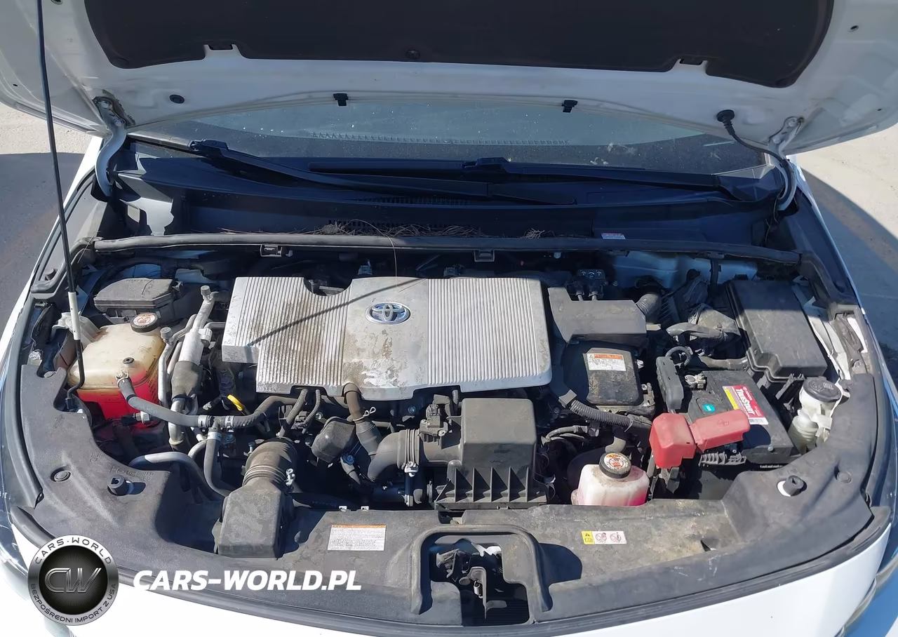2019 Toyota Prius Prime Premium VIN:JTDKARFP0K3109249 - 10