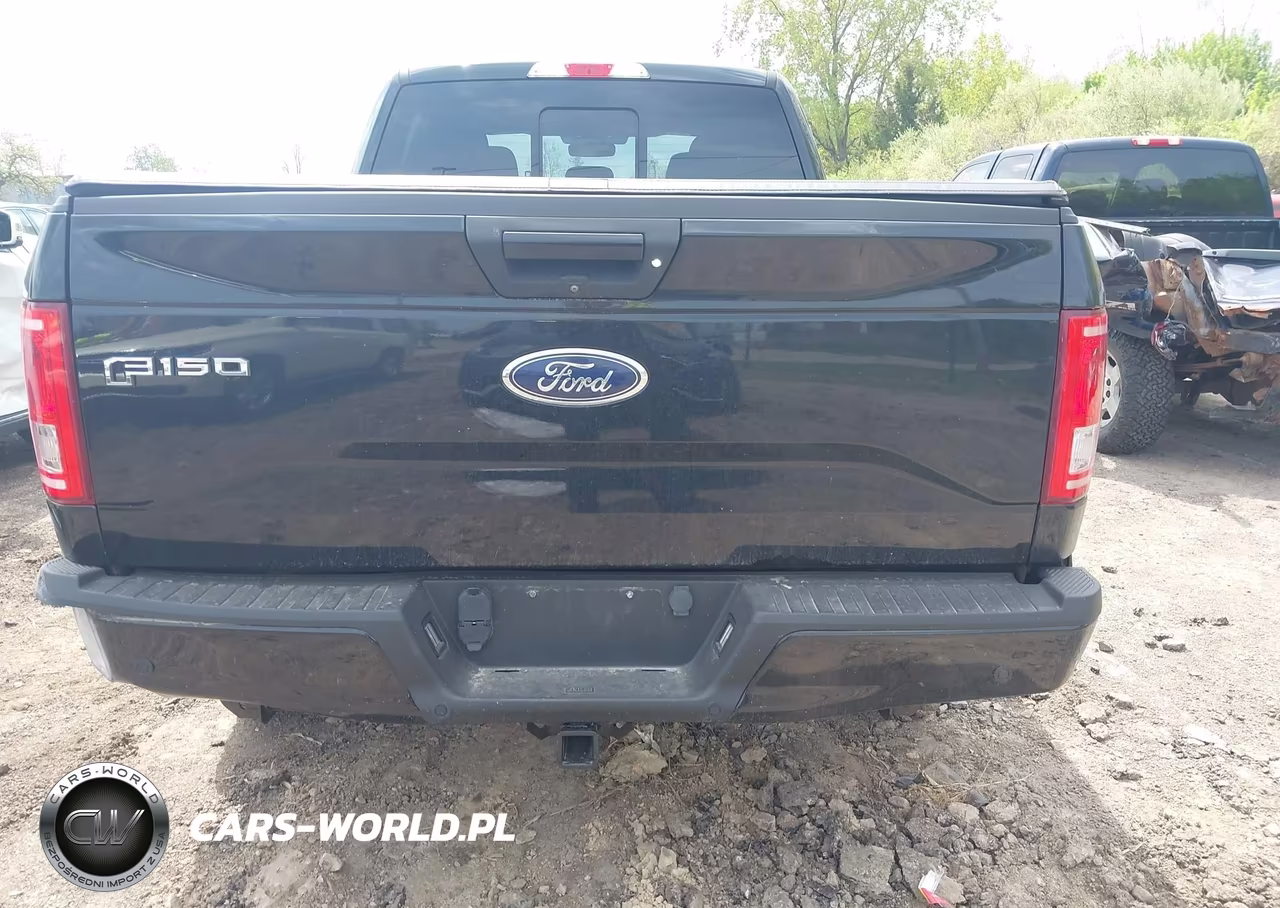 2016 Ford F-150 Xlt VIN:1FTFW1EF2GFC75386 - 16
