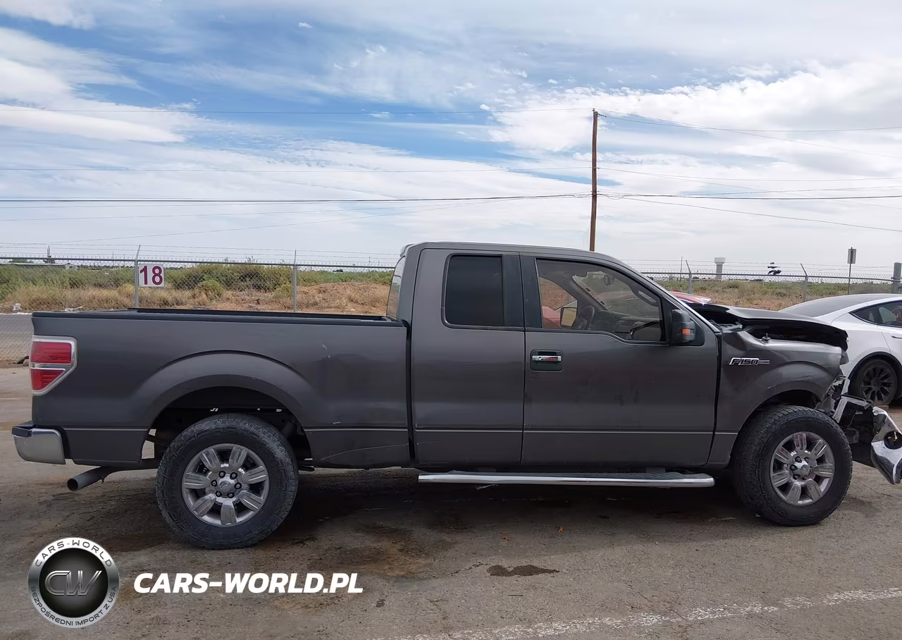 2010 Ford F-150 Fx2 Sport-Stx-Xl-Xlt VIN:1FTEX1C86AKE71391 - 13
