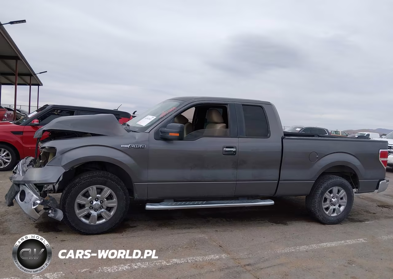 2010 Ford F-150 Fx2 Sport-Stx-Xl-Xlt VIN:1FTEX1C86AKE71391 - 14