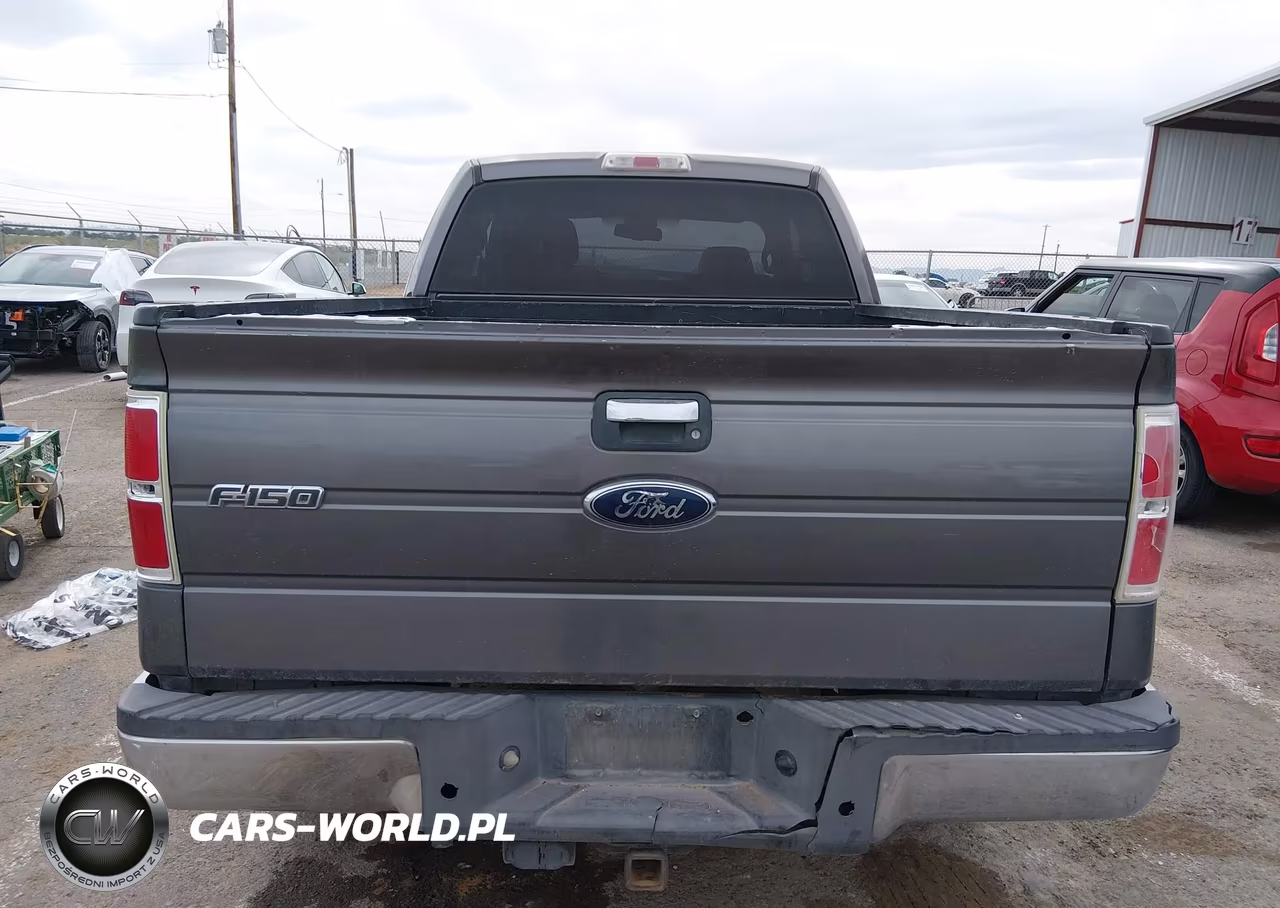 2010 Ford F-150 Fx2 Sport-Stx-Xl-Xlt VIN:1FTEX1C86AKE71391 - 16