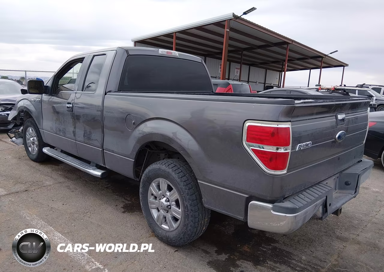 2010 Ford F-150 Fx2 Sport-Stx-Xl-Xlt VIN:1FTEX1C86AKE71391 - 3