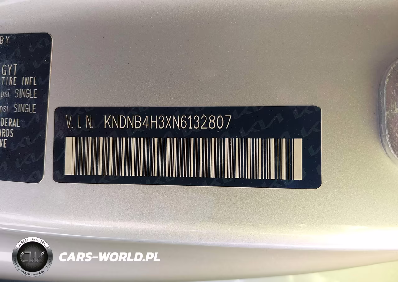 2022 Kia Carnival Mpv Lx Seat Package VIN:KNDNB4H3XN6132807 - 9