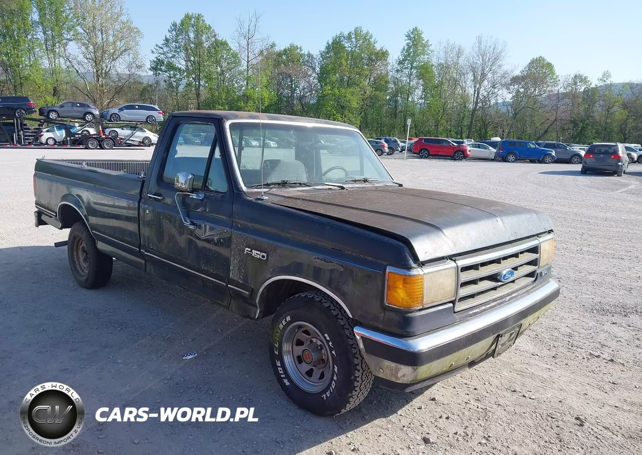1989 Ford F150