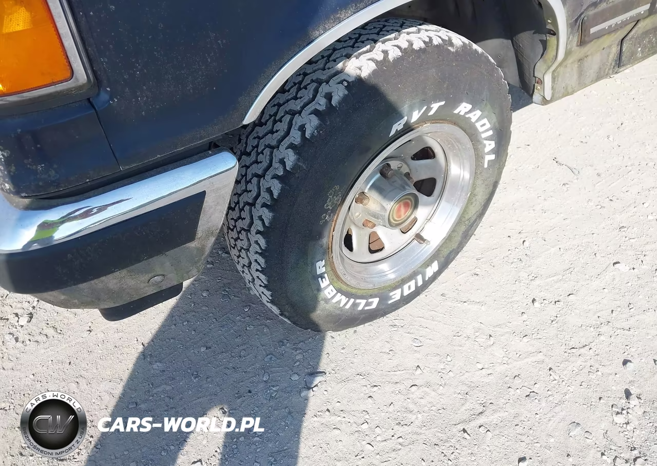 1989 Ford F150 VIN:1FTDF15Y4KNB32494 - 12