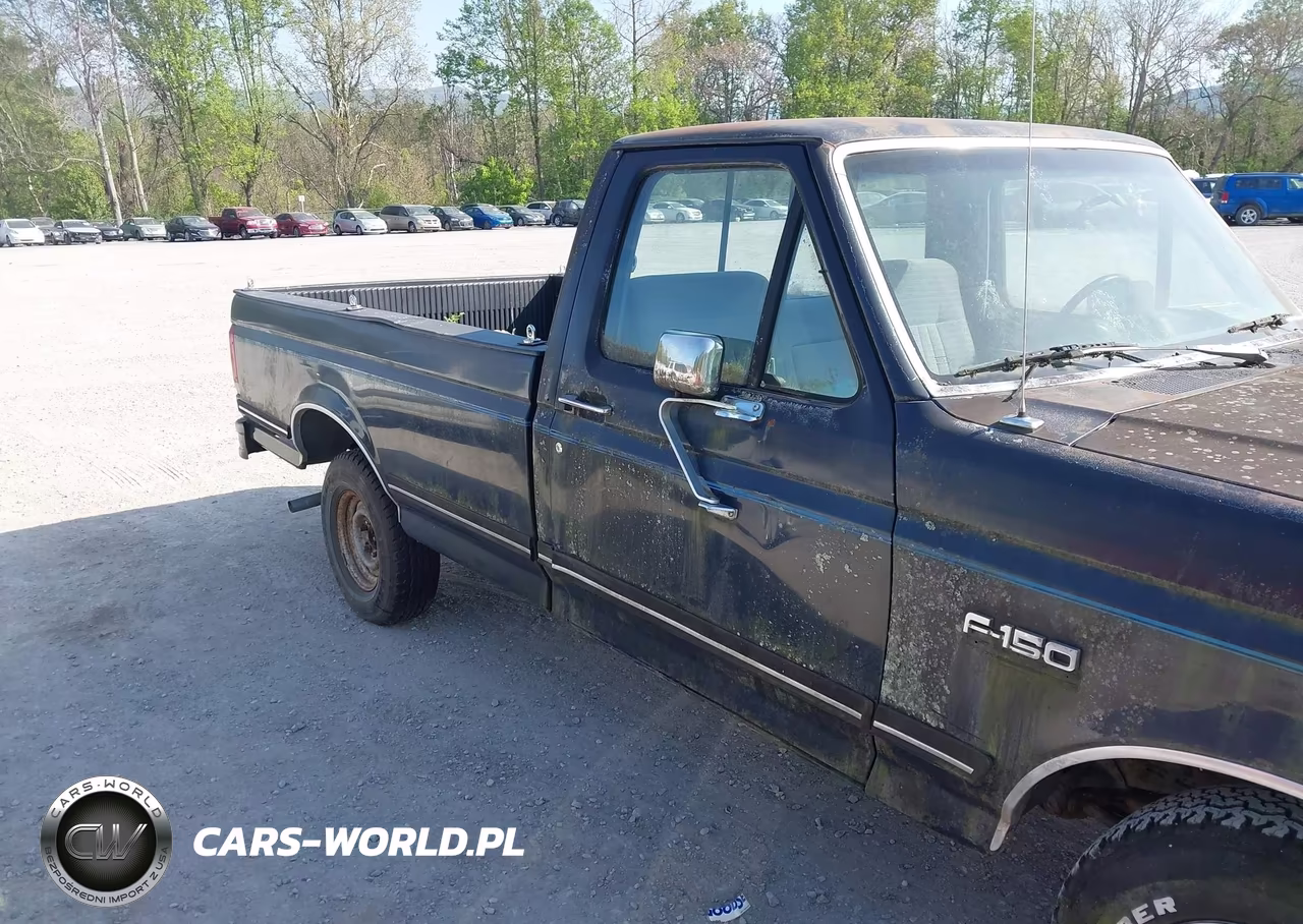 1989 Ford F150 VIN:1FTDF15Y4KNB32494 - 13