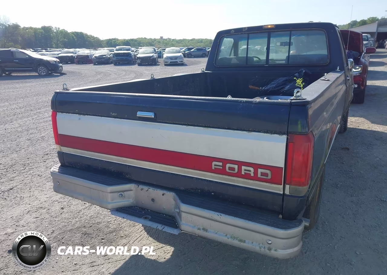 1989 Ford F150 VIN:1FTDF15Y4KNB32494 - 14