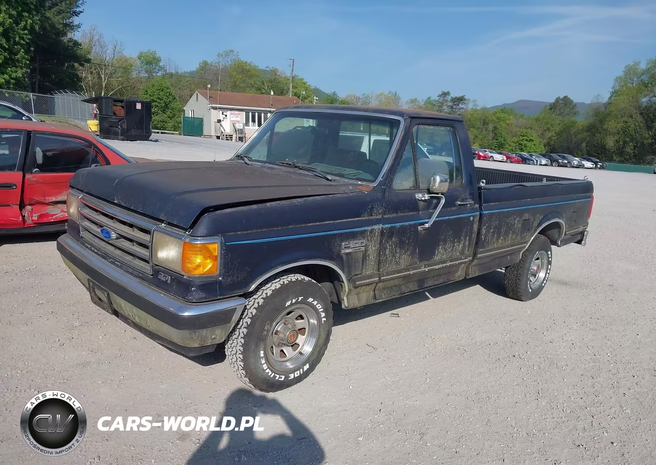 1989 Ford F150 VIN:1FTDF15Y4KNB32494 - 2