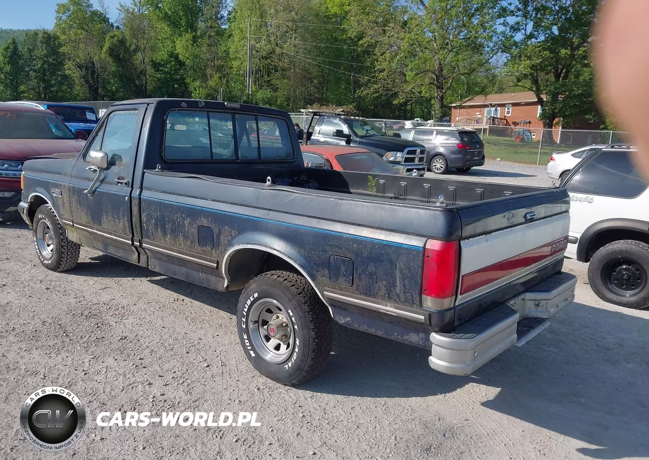 1989 Ford F150 VIN:1FTDF15Y4KNB32494 - 3