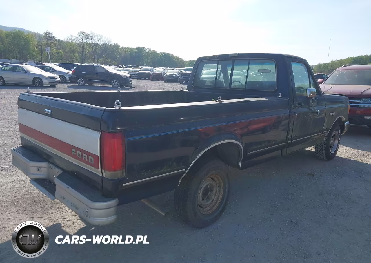 1989 Ford F150 VIN:1FTDF15Y4KNB32494 - 4