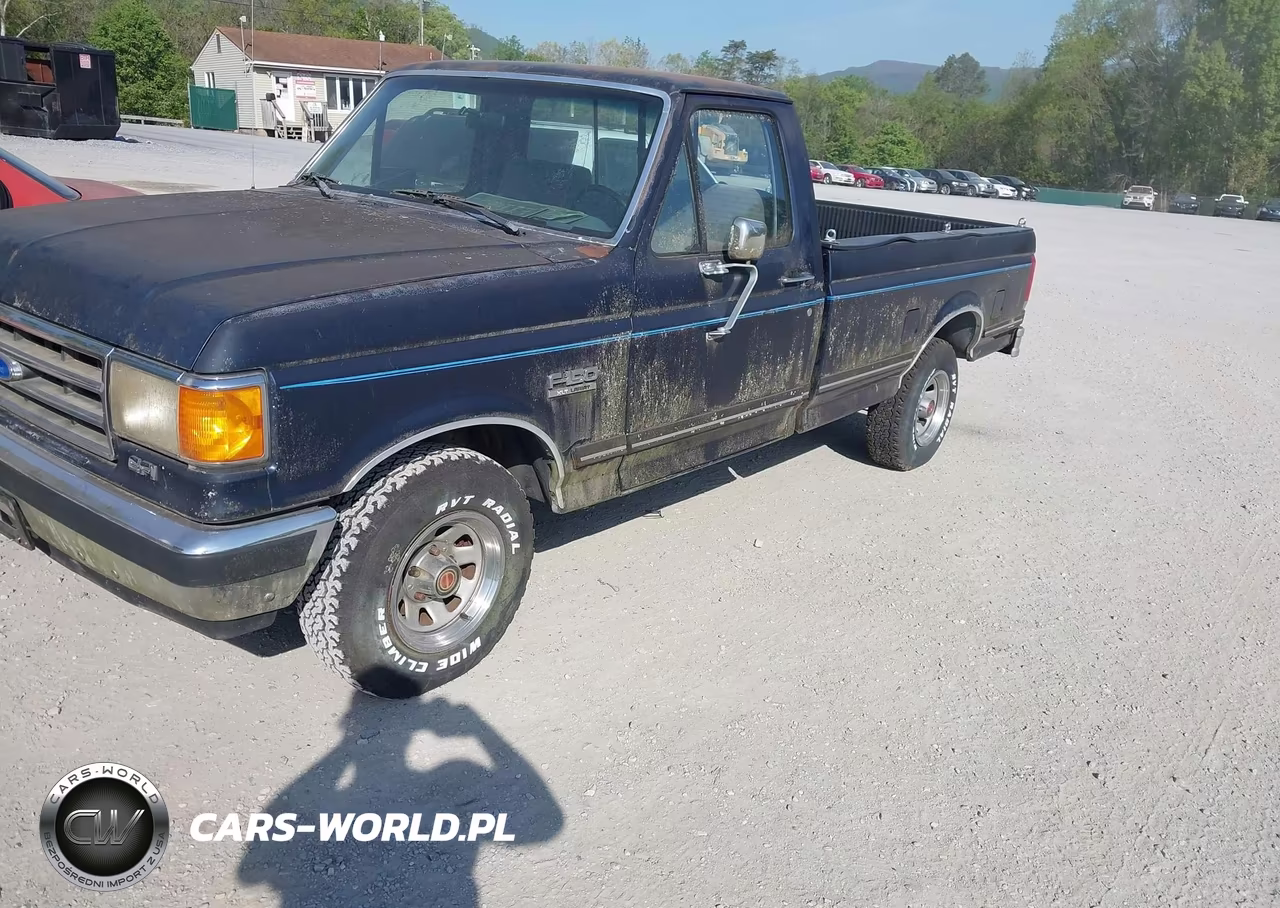 1989 Ford F150 VIN:1FTDF15Y4KNB32494 - 6