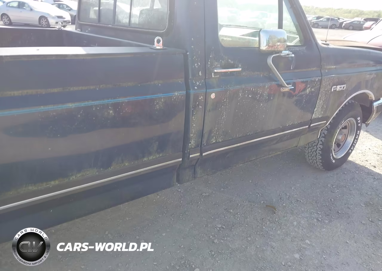 1989 Ford F150 VIN:1FTDF15Y4KNB32494 - 8