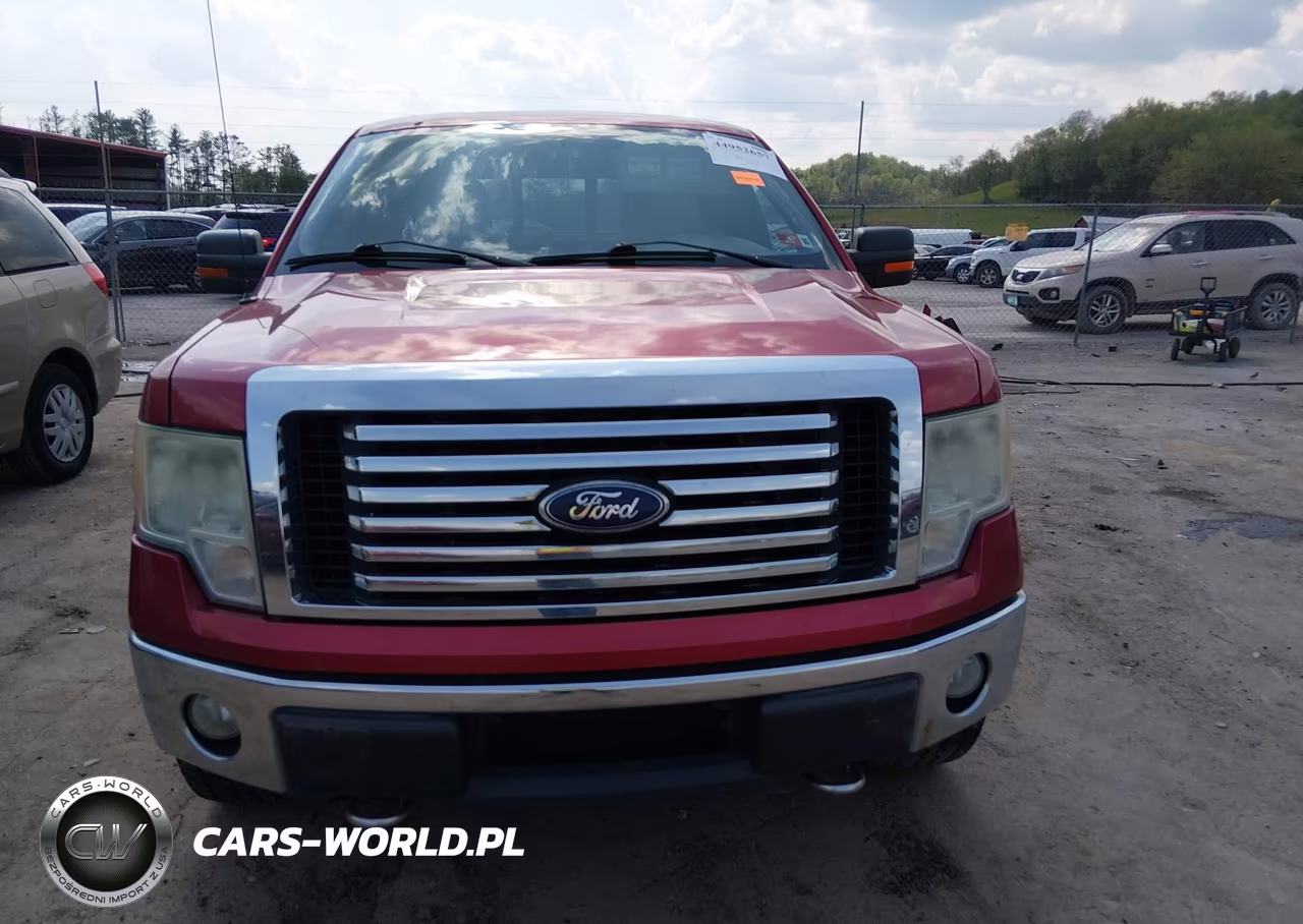 2010 Ford F-150 Fx4-Harley-Davidson-King Ranch-Lariat-Platinum-Xl-Xlt VIN:1FTFW1EV5AFB38943 - 12